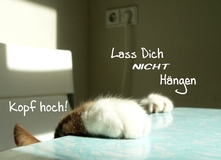 Lass dich nicht hängen, Kopf hoch! - Aufmunterung