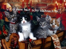 Ja ist denn heut scho Weihnachten - Weihnachten Lustig