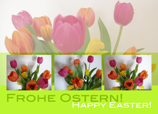 Frohe Ostern! Happy Easter! - Ostern