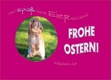 Viel Spass beim Eier suchen! Frohe Ostern! - Ostern