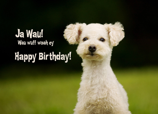 Ja wau! wuff woa ey! Happy Birthday! - pokamax