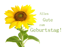 Alles Gute zum Geburtstag ! - Geburtstag