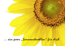 ... ein paar Sonnenstrahlen für dich - Verliebt