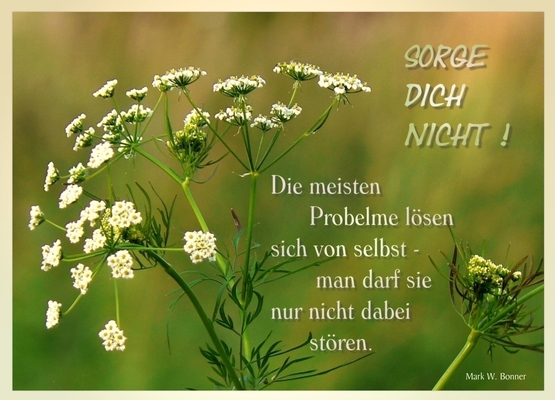 Sprüche ♥ PostkartenMotive ♥ PokaMax