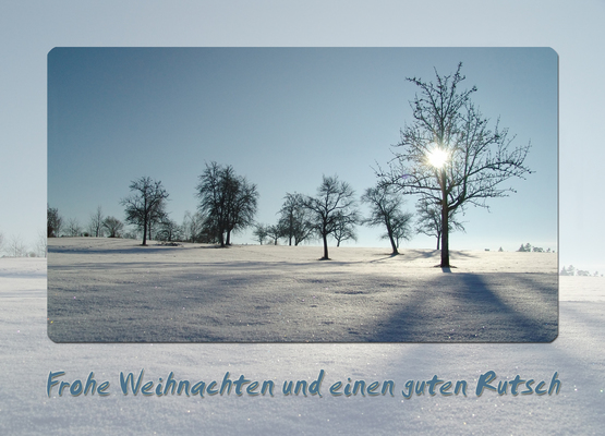 Frohe Weihnachten und einen guten Rutsch - schlueterolaf