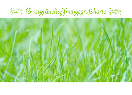 Grasgrünehoffnungsgrußkarte - meiernina