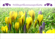 Frühlingwillkommensgrußkarte - Frühling