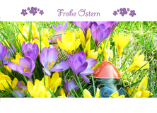 frohe ostern - Ostern