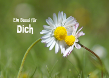 Ein Bussi für Dich - Frühling