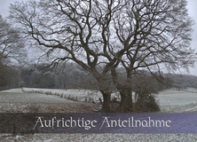 Aufrichtige Anteilnahme - Beliebteste Motive