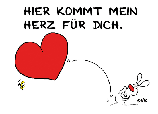 Nic Mein Herz für dich Nic