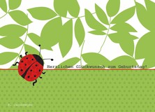 Herzlichen Glückwunsch zum Geburtstag! - Beliebteste Motive