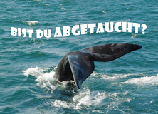 BIST DU ABGETAUCHT? - Beliebteste Motive