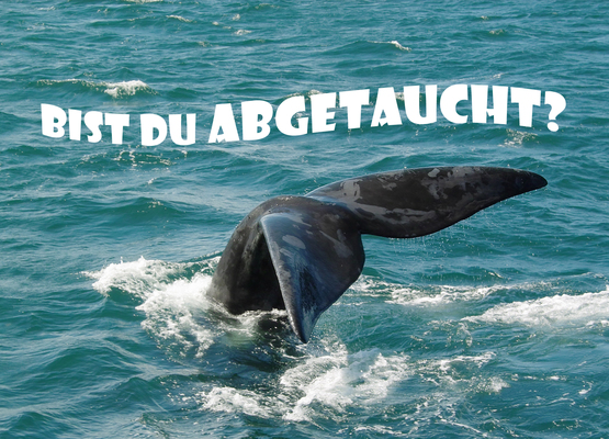 BIST DU ABGETAUCHT? - pokamax