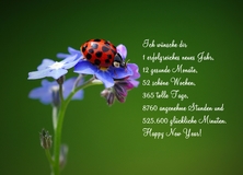 Happy New Year! - Neu Jahr