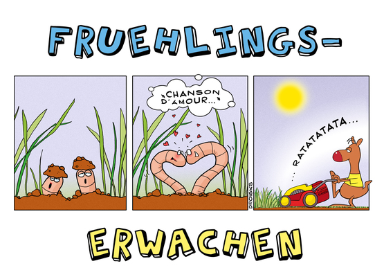 Frühlingserwachen - droigks