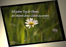 Gib jedem Tag die Chance.... - Frühling