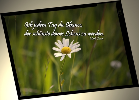 Gib jedem Tag die Chance.... - bodnar