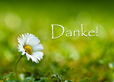 Danke! - Freundschaft