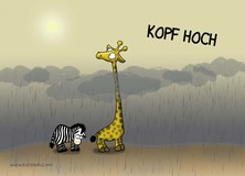 Kopf hoch - Lieblingsmotive