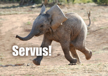 Servus! - Baby / Geburt