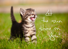 Let the sun shine on You! - Most Popular Cards