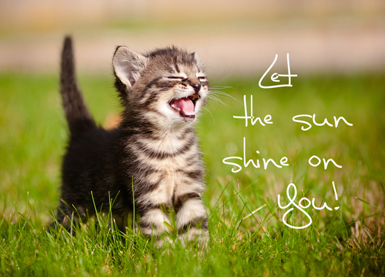Let the sun shine on You! - pokamax