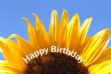 Happy Birthday - Beliebteste Motive