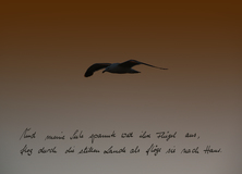 Beliebteste Motive