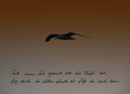  - gerdfisch 