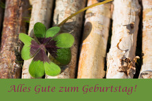 Geburtstag