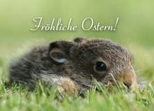 Ostern