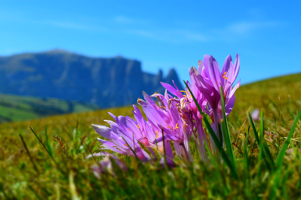  - Naturfotografie Lederle