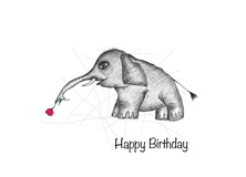 Birthday