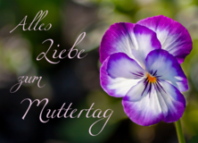 Muttertag