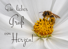 Sprüche
