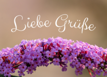 Sprüche