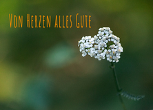 Geburtstag