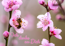 Sehnsucht