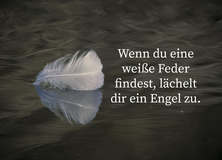 Sprüche