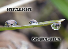 Beliebteste Motive