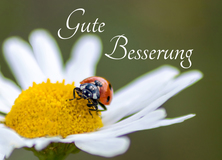 Gute Besserung