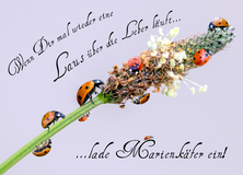 Sprüche