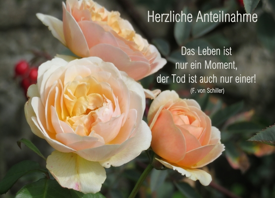  - KartenKalenderKreationen