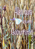 Geburtstag