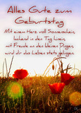 Beliebteste Motive