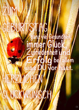 Beliebteste Motive