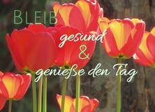 Sprüche