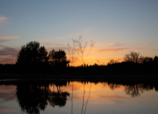  - M_Photo_N