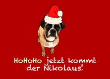 Nikolaus